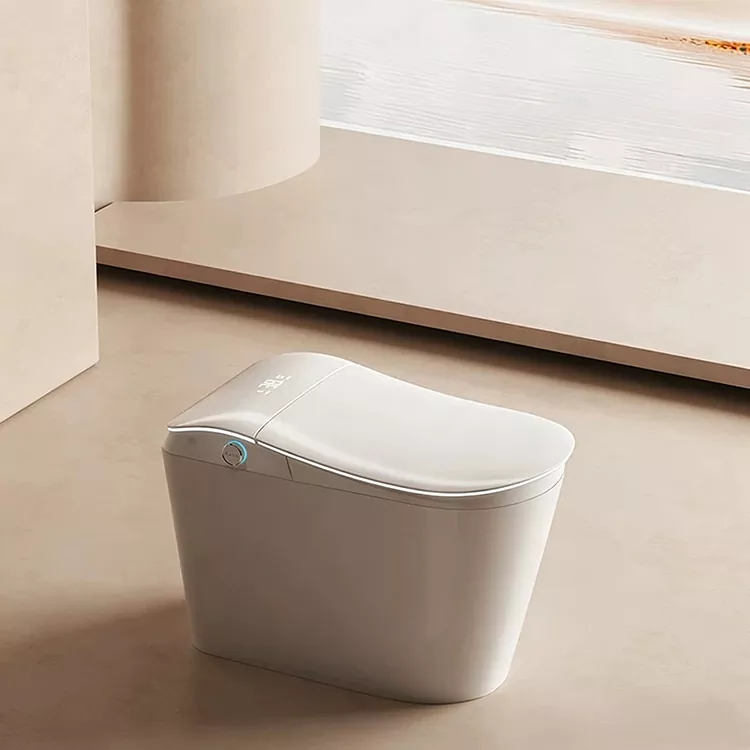 Toilet Cerdas Kanthi Filter Banyu Dibangun lan Flushing Diaktifake Kaki