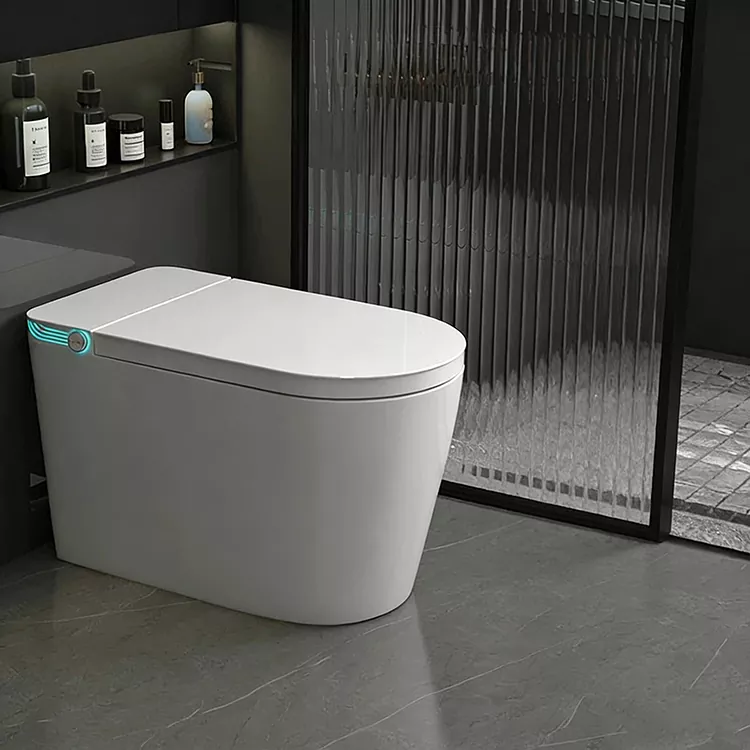 Nirkabel Remote-Controlled Spray Nozzle Sterilization Smart Toilet
